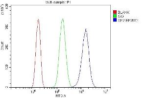 Flow Cytometry analysis of Neuro-2a cells using anti-Gp2 antibody (ABIN7601427). (GP2 anticorps  (AA 35-497))