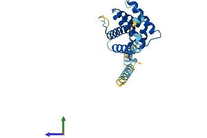AlphaFold protein structure predicition of Mouse Recombinant Bok Protein, UniprotID O35425