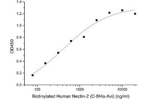 ELISA image for Poliovirus Receptor-Related Immunoglobulin Domain Containing (PVRIG) (Active) protein (mFc Tag) (ABIN7319903)