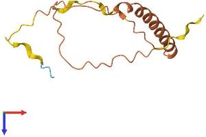 AlphaFold protein structure predicition of Human Recombinant MYCNOS Protein, UniprotID P40205