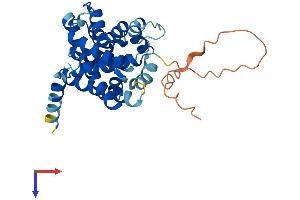 AlphaFold protein structure predicition of Mouse Recombinant Tmem38a Protein, UniprotID Q3TMP8