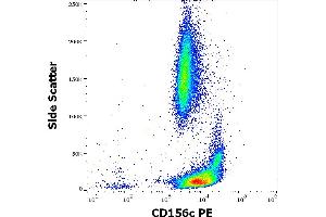 Flow cytometry surface staining pattern of human peripheral whole blood stained using anti-human CD156c (11G2) PE antibody (10 μL reagent / 100 μL of peripheral whole blood). (ADAM10 anticorps  (PE))