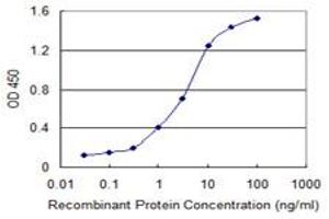 Detection limit for recombinant GST tagged SLC11A2 is 0.