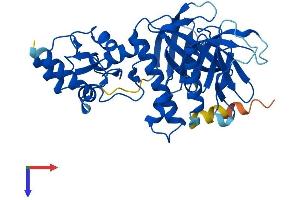 AlphaFold protein structure predicition of Human Recombinant ADAP2 Protein, UniprotID Q9NPF8