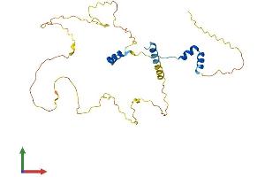 AlphaFold protein structure predicition of Human Recombinant VGLL4 Protein, UniprotID Q14135