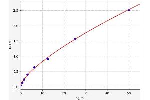 Paraoxonase 1 (PON1) ELISA Kit