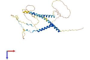 AlphaFold protein structure predicition of Human Recombinant MFF Protein, UniprotID Q9GZY8