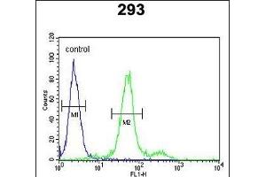 COL18A1 Antibody (N-term) (ABIN652798 and ABIN2842523) flow cytometric analysis of 293 cells (right histogram) compared to a negative control cell (left histogram).
