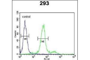 COL18A1 Antibody (N-term) (ABIN652798 and ABIN2842523) flow cytometric analysis of 293 cells (right histogram) compared to a negative control cell (left histogram). (COL18A1 anticorps  (N-Term))