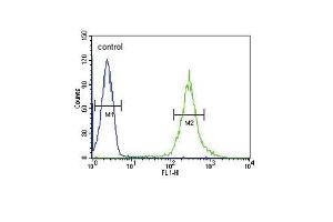 ST8SIA4 Antibody (Center) (ABIN653728 and ABIN2843035) flow cytometric analysis of HL-60 cells (right histogram) compared to a negative control cell (left histogram). (ST8SIA4 anticorps  (AA 186-214))