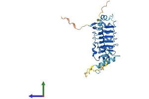 AlphaFold protein structure predicition of Human Recombinant LRRC61 Protein, UniprotID Q9BV99