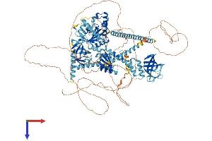 AlphaFold protein structure predicition of Mouse Recombinant Eif5b Protein, UniprotID Q05D44