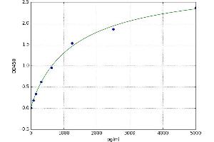 Platelet-Derived Growth Factor Receptor-Like (PDGFRL) ELISA Kit