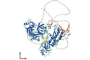 AlphaFold protein structure predicition of Human Recombinant SFMBT1 Protein, UniprotID Q9UHJ3