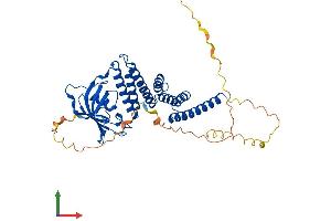 AlphaFold protein structure predicition of Human Recombinant FKBP8 Protein, UniprotID Q14318
