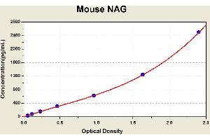 Diagramm of the ELISA kit to detect Mouse NAGwith the optical density on the x-axis and the concentration on the y-axis. (MGEA5 Kit ELISA)