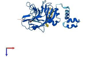 AlphaFold protein structure predicition of Mouse Recombinant Spsb1 Protein, UniprotID Q9D5L7