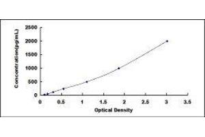 Diacylglycerol O-Acyltransferase 1 (DGAT1) ELISA Kit