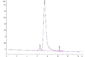 The purity of Biotinylated Human CD24 is greater than 95 % as determined by SEC-HPLC.