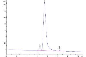 The purity of Biotinylated Human CD24 is greater than 95 % as determined by SEC-HPLC.