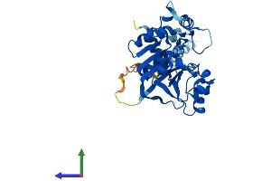 AlphaFold protein structure predicition of Human Recombinant ST6GALNAC4 Protein, UniprotID Q9H4F1