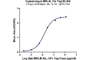 Immobilized Cynomolgus MSLN at 0.
