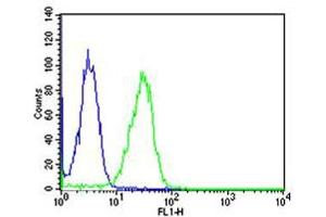 Flow cytometric analysis of Hela cells using CN1 Antibody (green, Cat(ABIN6242895 and ABIN6577068)) compared to an isotype control of mouse IgG1(blue).