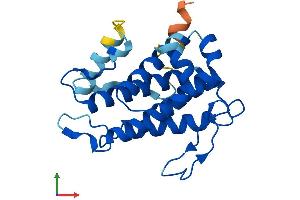 AlphaFold protein structure predicition of Mouse Recombinant Mob3b Protein, UniprotID Q8VE04