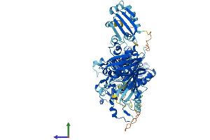 AlphaFold protein structure predicition of Mouse Recombinant Hsd17b4 Protein, UniprotID P51660