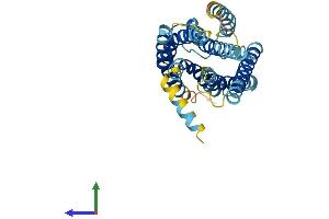 AlphaFold protein structure predicition of Mouse Recombinant Gpr141 Protein, UniprotID Q7TQP0