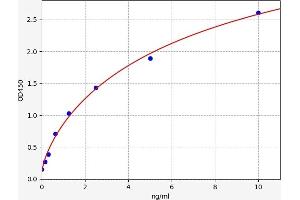 Typical standard curve (ANXA6 Kit ELISA)