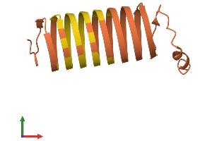 AlphaFold protein structure predicition of Mouse Recombinant Krtap6-2 Protein, UniprotID O08884