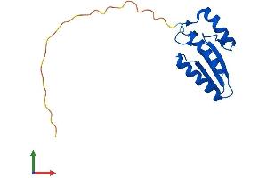 AlphaFold protein structure predicition of Mouse Recombinant Pcbd2 Protein, UniprotID Q9CZL5