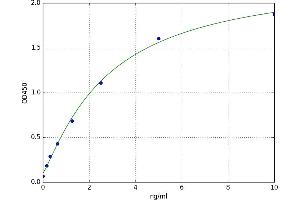 A typical standard curve