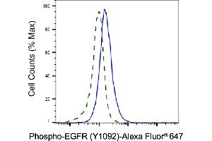 Validation of EGFR knockdown using flow cytometry.
