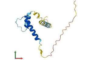 AlphaFold protein structure predicition of Human Recombinant ID3 Protein, UniprotID Q02535
