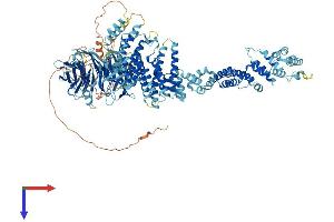AlphaFold protein structure predicition of Mouse Recombinant Nup133 Protein, UniprotID Q8R0G9