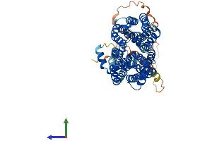 AlphaFold protein structure predicition of Mouse Recombinant Spns2 Protein, UniprotID Q91VM4