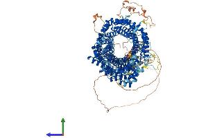 AlphaFold protein structure predicition of Human Recombinant HEATR6 Protein, UniprotID Q6AI08
