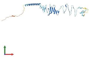 AlphaFold protein structure predicition of Mouse Recombinant Sgcd Protein, UniprotID P82347