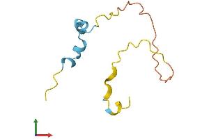 AlphaFold protein structure predicition of Mouse Recombinant Mllt11 Protein, UniprotID P97783