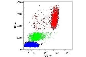 Surface staining of human peripheral blood cells with anti-human CD16 (MEM-154) PE. (CD16 anticorps)