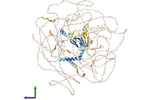 AlphaFold protein structure predicition of Mouse Recombinant Atxn2 Protein, UniprotID O70305