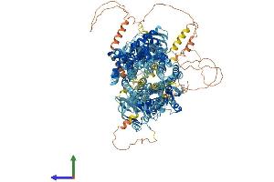 AlphaFold protein structure predicition of Mouse Recombinant Cftr Protein, UniprotID P26361