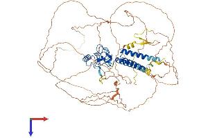AlphaFold protein structure predicition of Mouse Recombinant Lin54 Protein, UniprotID Q571G4