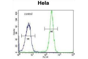 Flow Cytometry (FACS) image for anti-Hyaluronidase-2 (HYAL2) antibody (ABIN2995807) (HYAL2 anticorps)