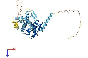 AlphaFold protein structure predicition of Mouse Recombinant Pnpla3 Protein, UniprotID Q91WW7