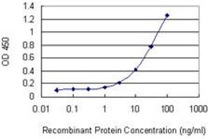 Detection limit for recombinant GST tagged IFNA1 is 0. (IFNA1 anticorps  (AA 24-133))