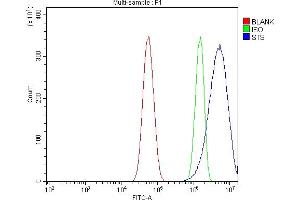Flow Cytometry analysis of U87 cells using anti-Steroid Sulfatase/STS antibody (ABIN7601166). (STS anticorps  (AA 297-547))