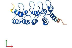 AlphaFold protein structure predicition of Human Recombinant CDKN2C Protein, UniprotID P42773